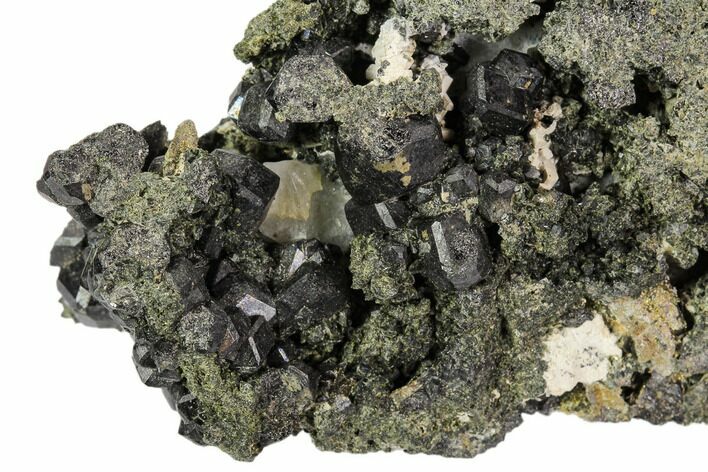 Black Andradite (Melanite) Garnet Cluster - Morocco #107912